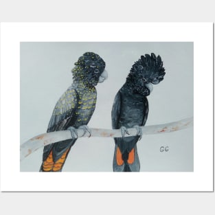 Australian Black Cockatoos original painting Posters and Art